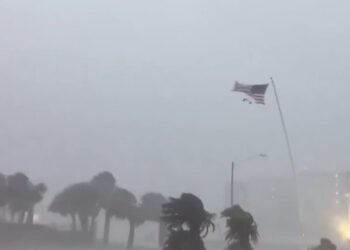 Isaias Brings Strong Winds and Heavy Rain Inland