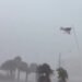 Isaias Brings Strong Winds and Heavy Rain Inland