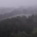 Isaias Strikes Florida as Hurricane