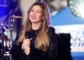 Kelly Clarkson Snubbed at Brooklyn Store