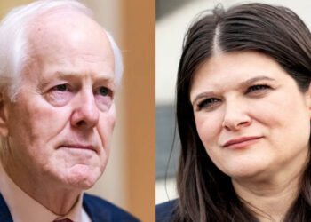 Michigan, Texas Voters Weigh Choices After Primary Losses
