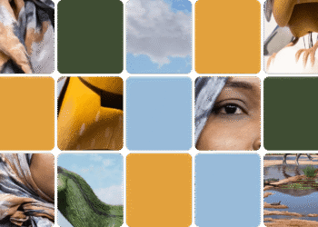 Pope's Surgery and New Dinosaur: This Week's News Quiz