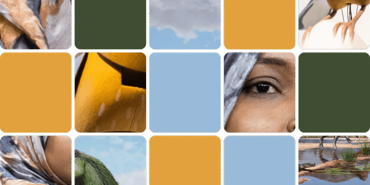 Pope's Surgery and New Dinosaur: This Week's News Quiz