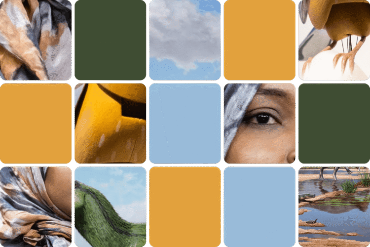 Pope's Surgery and New Dinosaur: This Week's News Quiz