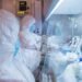 Researcher at Russian Plague Institute Dies of Mystery Illness