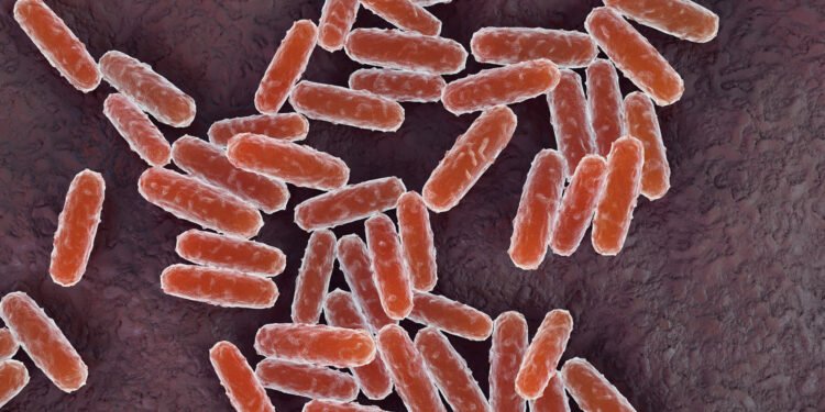 Russia Lab Worker Dies of Suspected Plague