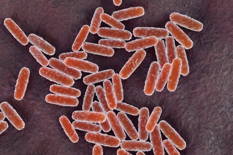 Russia Lab Worker Dies of Suspected Plague