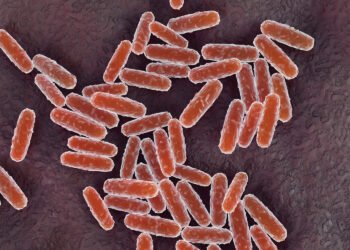 Russia Reports Fatal Pneumonic Plague Case