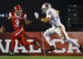 Stampeders Battle Lions in Crucial Playoff Clash