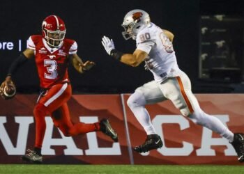 Stampeders Battle Lions in Crucial Playoff Clash