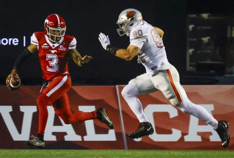 Stampeders Battle Lions in Crucial Playoff Clash
