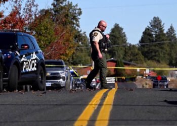 Teen Gunman Kills 4 at Elementary School