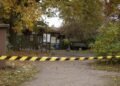 Wolf Mauls Child at German Zoo