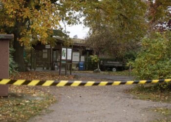 Wolf Mauls Child at German Zoo