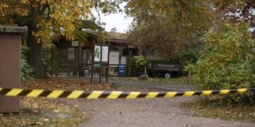 Wolf Mauls Child at German Zoo