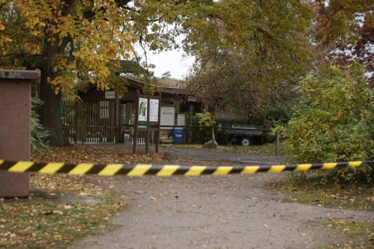 Wolf Mauls Child at German Zoo