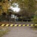 Wolf Mauls Child at German Zoo